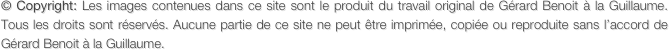 Accueil