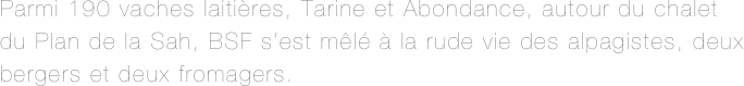 Parmi 190 vaches laitières, Tarine et Abondance, autour du chalet du Plan de la Sah, BSF s’est mêlé à la rude vie des alpagistes, deux bergers et deux fromagers.
