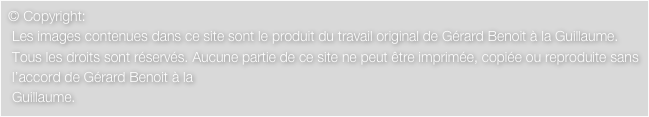  © Copyright: 
  Les images contenues dans ce site sont le produit du travail original de Gérard Benoit à la Guillaume.
  Tous les droits sont réservés. Aucune partie de ce site ne peut être imprimée, copiée ou reproduite sans 
  l’accord de Gérard Benoit à la 
  Guillaume.